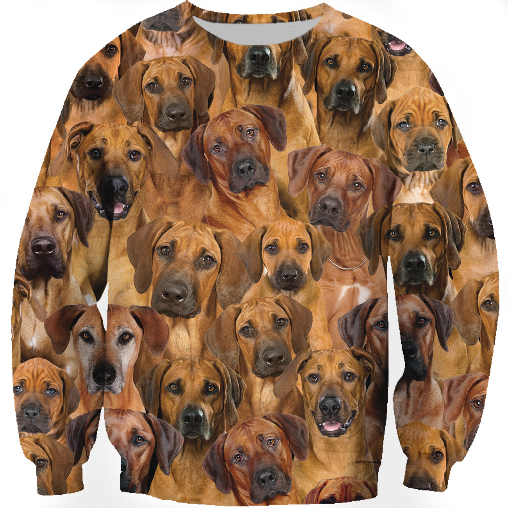 Vous aurez un groupe de Rhodesian Ridgebacks - Sweatshirt V1