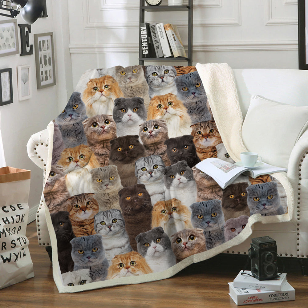 You Will Have A Bunch Of Scottish Fold Cats - Blanket V1