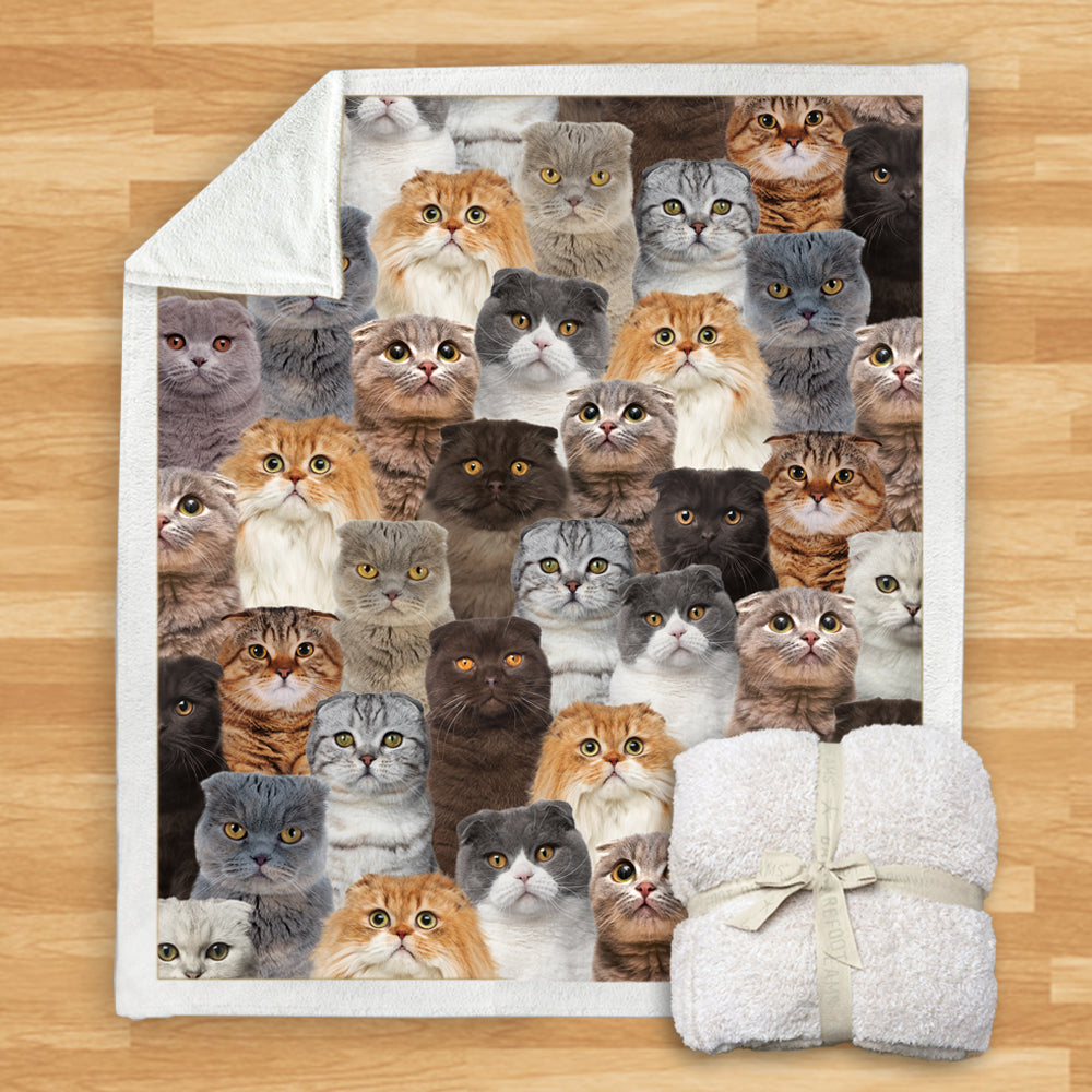 Scottish Fold Cats - Blanket V1