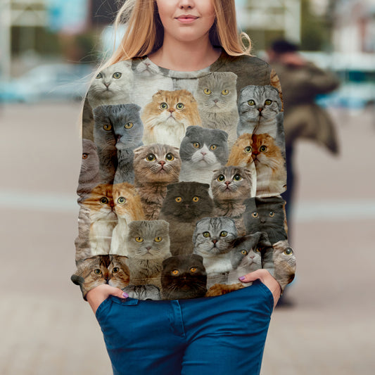 Vous aurez un groupe de chats Scottish Fold - Sweatshirt V1