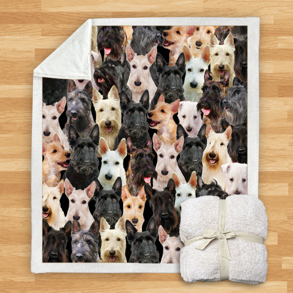 Scottish Terriers - Blanket V1