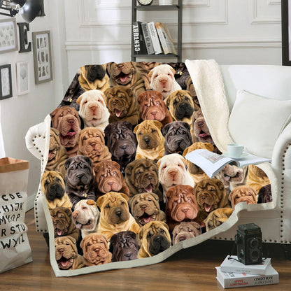 You Will Have A Bunch Of Shar Peis - Blanket V1