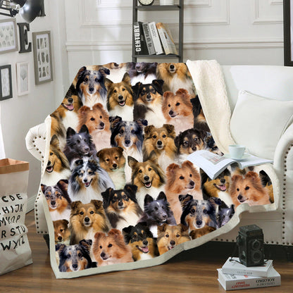 You Will Have A Bunch Of Shetland Sheepdogs - Blanket V1