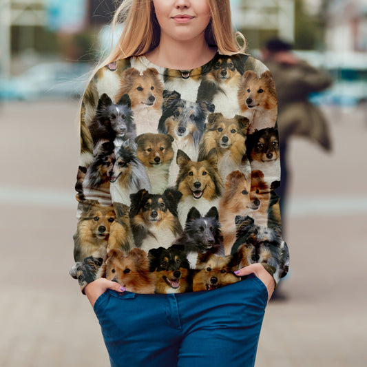 You Will Have A Bunch Of Shetland Sheepdogs - Sweatshirt V1