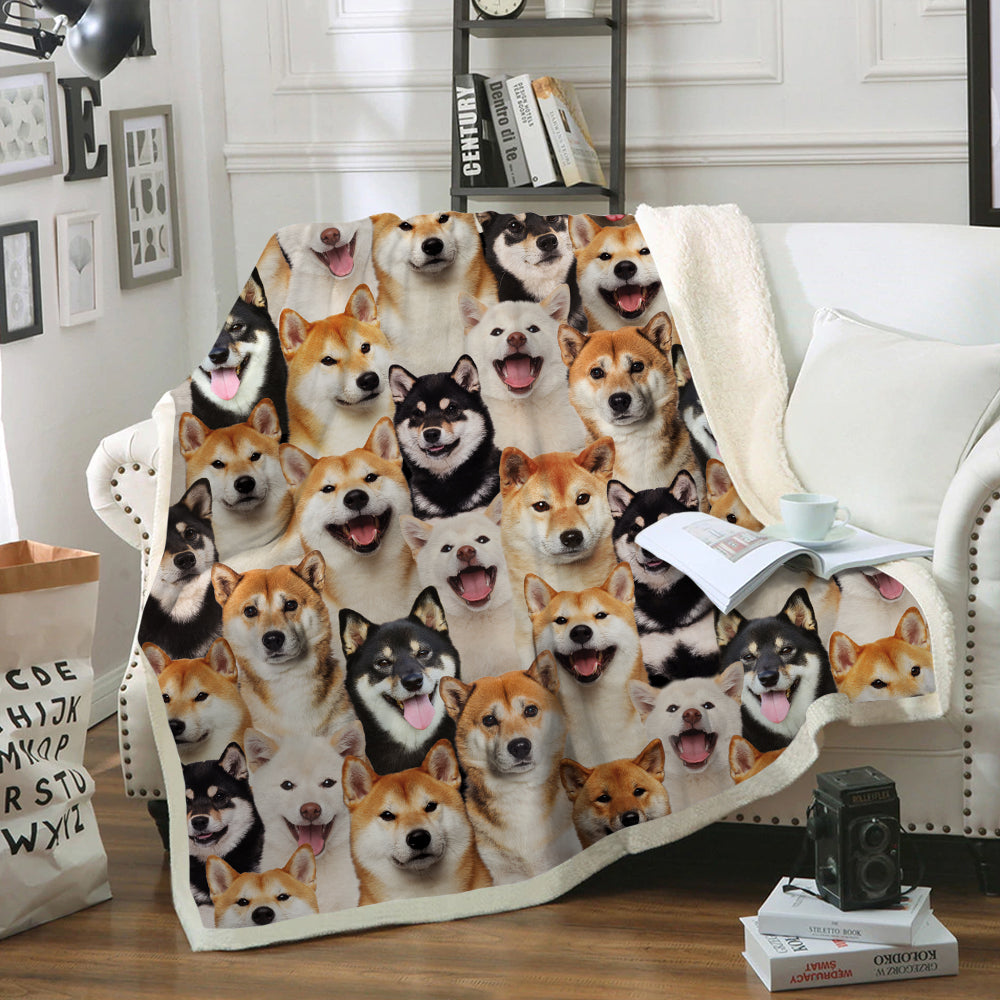 You Will Have A Bunch Of Shiba Inus - Blanket V1