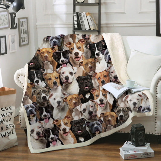 You Will Have A Bunch Of Staffordshire Bull Terriers - Blanket V1