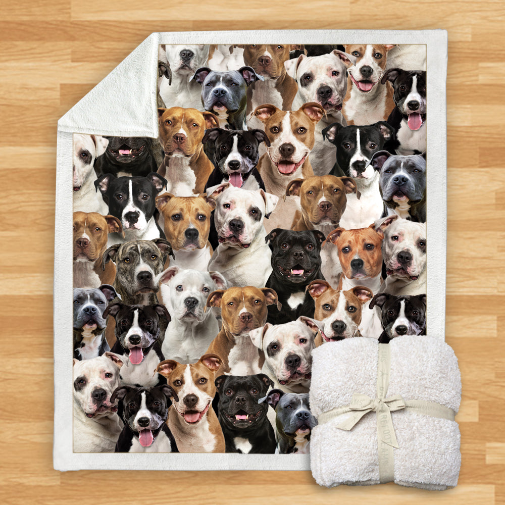 Staffordshire Bull Terriers - Blanket V1