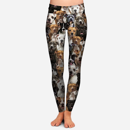 You Will Have A Bunch Of American Staffordshire Terriers - Leggings V1