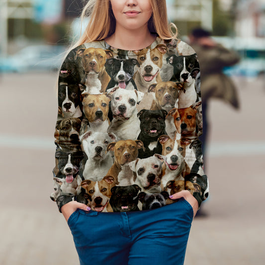 Vous aurez un groupe de Staffordshire Bull Terriers - Sweatshirt V1