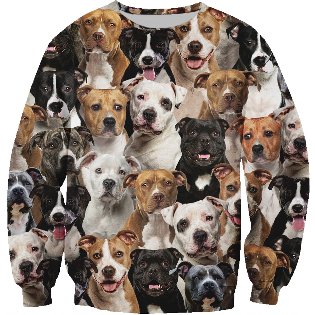 You Will Have A Bunch Of Staffordshire Bull Terriers - Sweatshirt V1