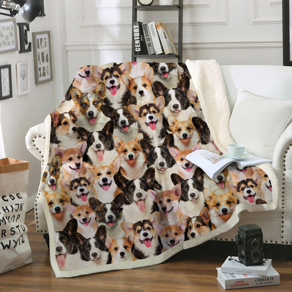 You Will Have A Bunch Of Welsh Corgies - Blanket V1
