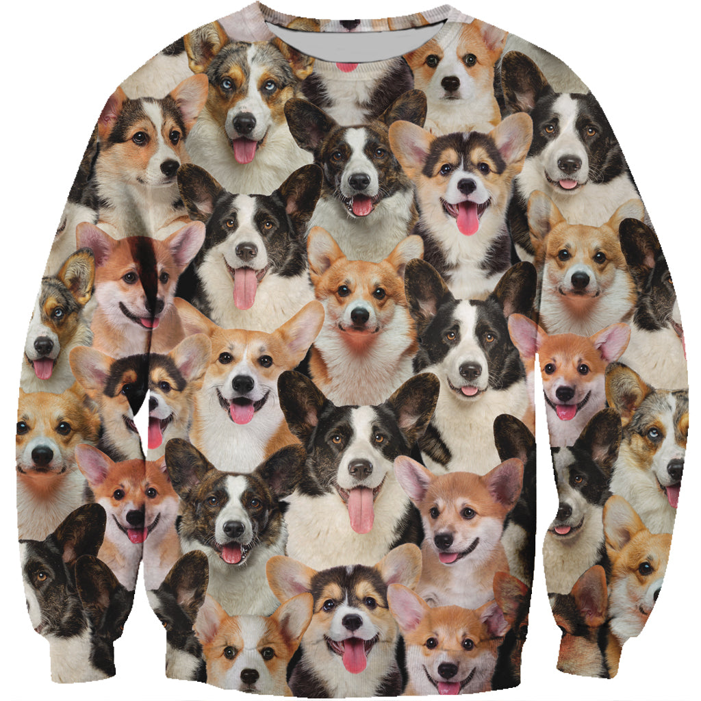 You Will Have A Bunch Of Welsh Corgies - Sweatshirt V1