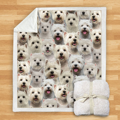 West Highland White Terriers - Blanket V1