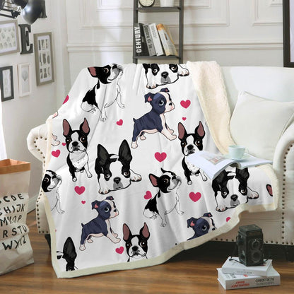 Cute Boston Terrier - Blanket V3