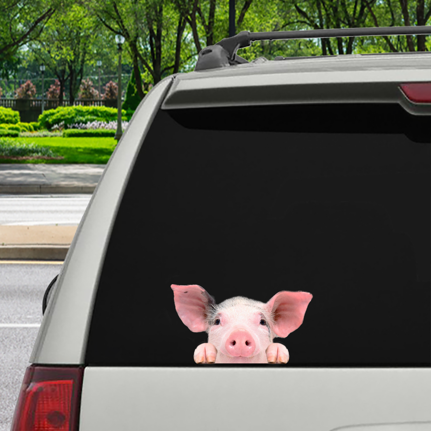 Can You See Me Now - Pig Car/ Door/ Fridge/ Laptop Sticker V1