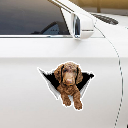 We Like Riding In Cars - Curly Coated Retriever Car/ Door/ Fridge/ Laptop Sticker V1