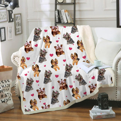 Cute Yorkshire Terrier - Blanket V2